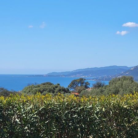 T3 Propriano Vue Mer, Neuf, Climatise Et Classe 4 Etoiles Viggianello Luaran gambar