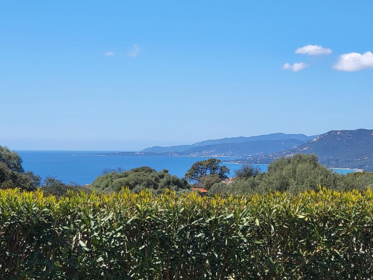 T3 Propriano Vue Mer, Neuf, Climatise Et Classe 4 Etoiles Viggianello Luaran gambar