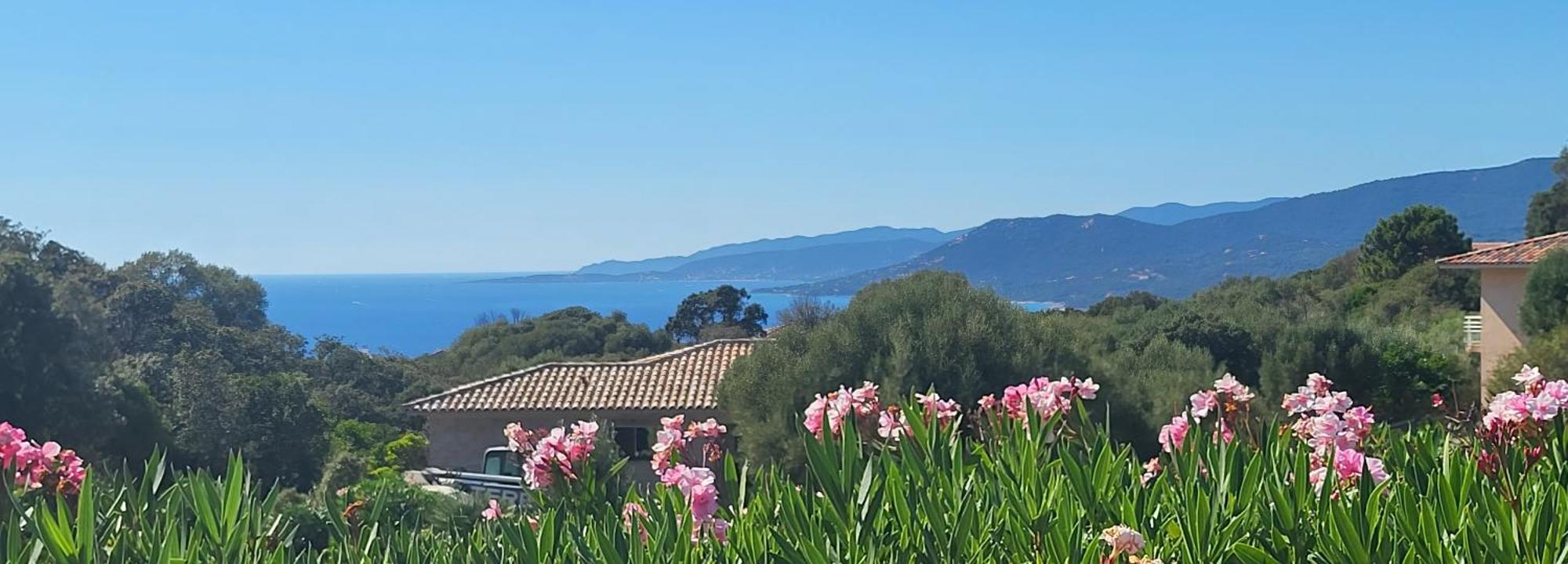 T3 Propriano Vue Mer, Neuf, Climatise Et Classe 4 Etoiles Viggianello Luaran gambar